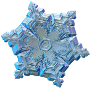 snowflake 20 lis